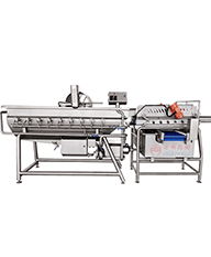 ZW-613D清洗機(jī)(渦流震動式)