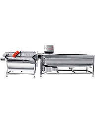 ZW-613漩渦震動式洗菜機(jī)