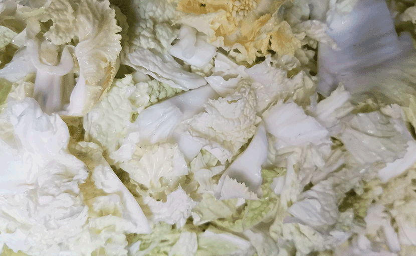 ZW-613漩渦震動(dòng)式洗菜機(jī)